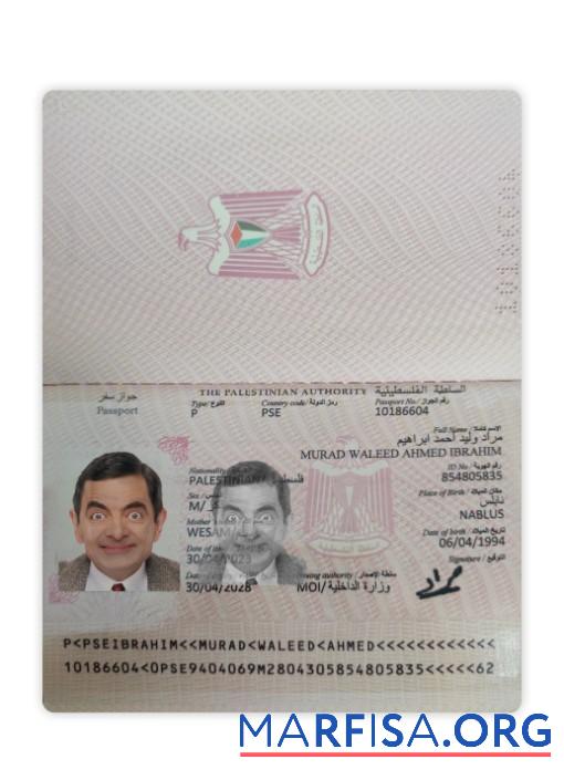 Downloadable Palestine passport 2023 present sample